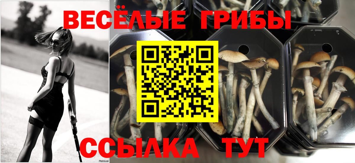 даркнет сайт  Галлюциногенные грибы мухоморы  Вход с VPN  Прокопьевск 
